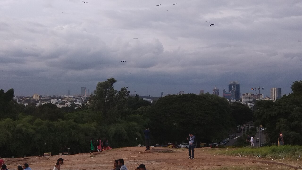 Bangalore Skyline from Lal Bagh