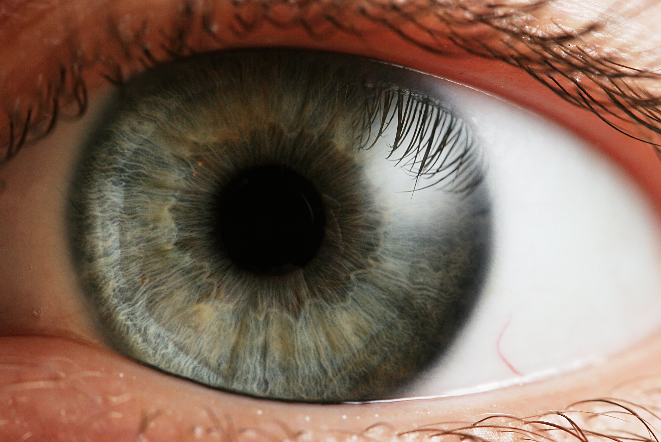 Close-up photograph of a human eye showing the iris and pupil