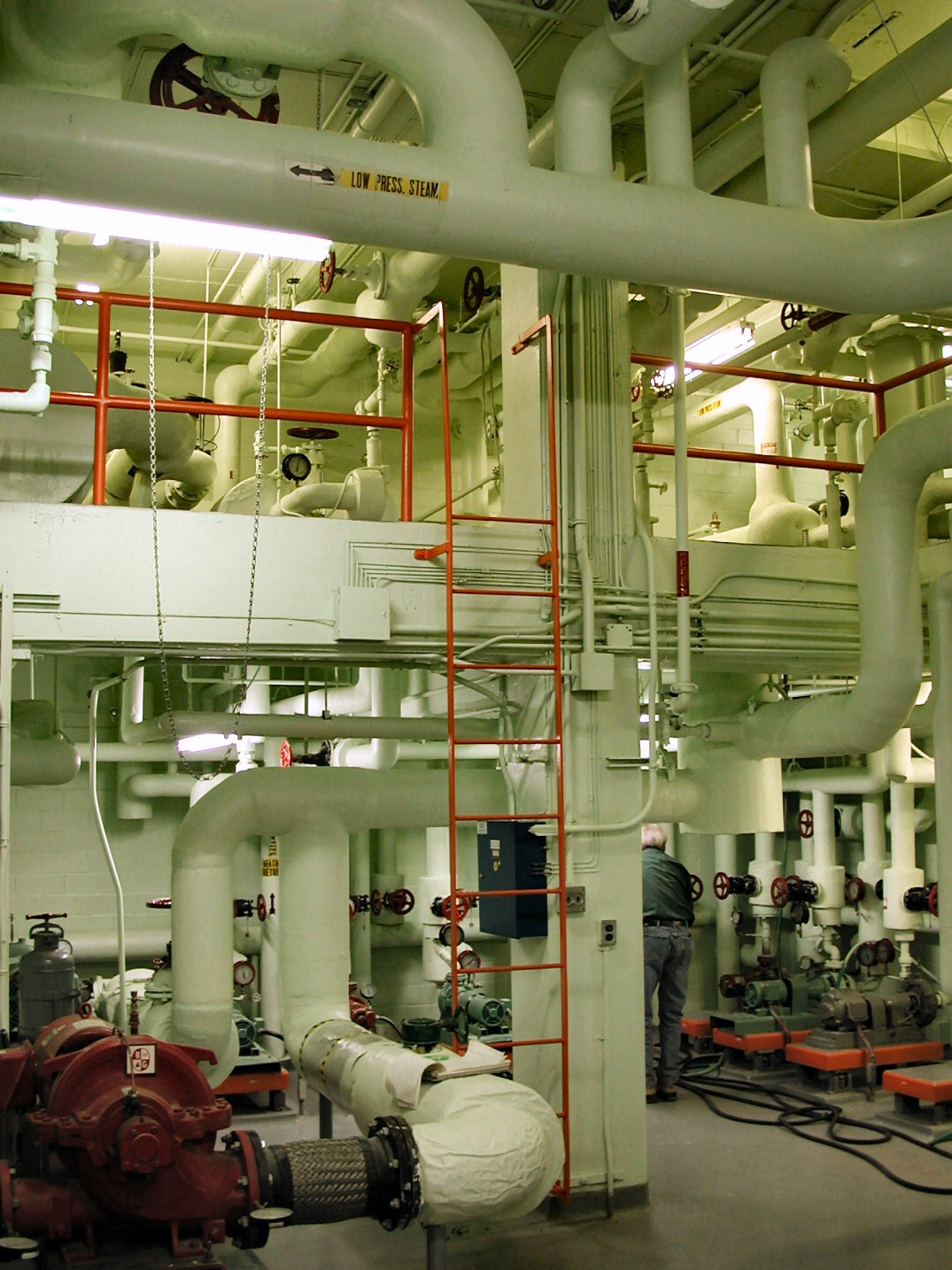 Insulated pipes, pumps and a ladder in a building mechanical room